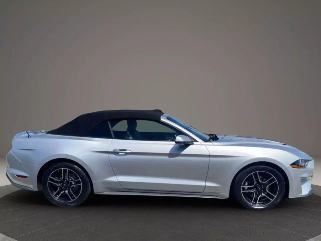 used 2019 Ford Mustang car, priced at $13,999