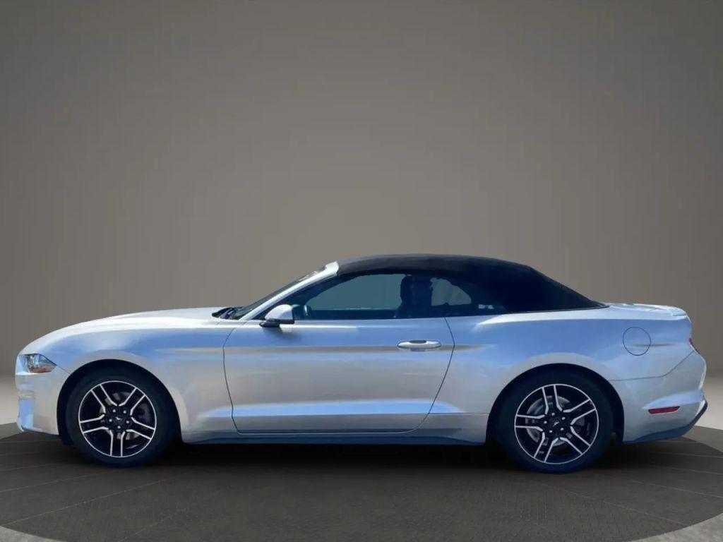 used 2019 Ford Mustang car, priced at $14,999