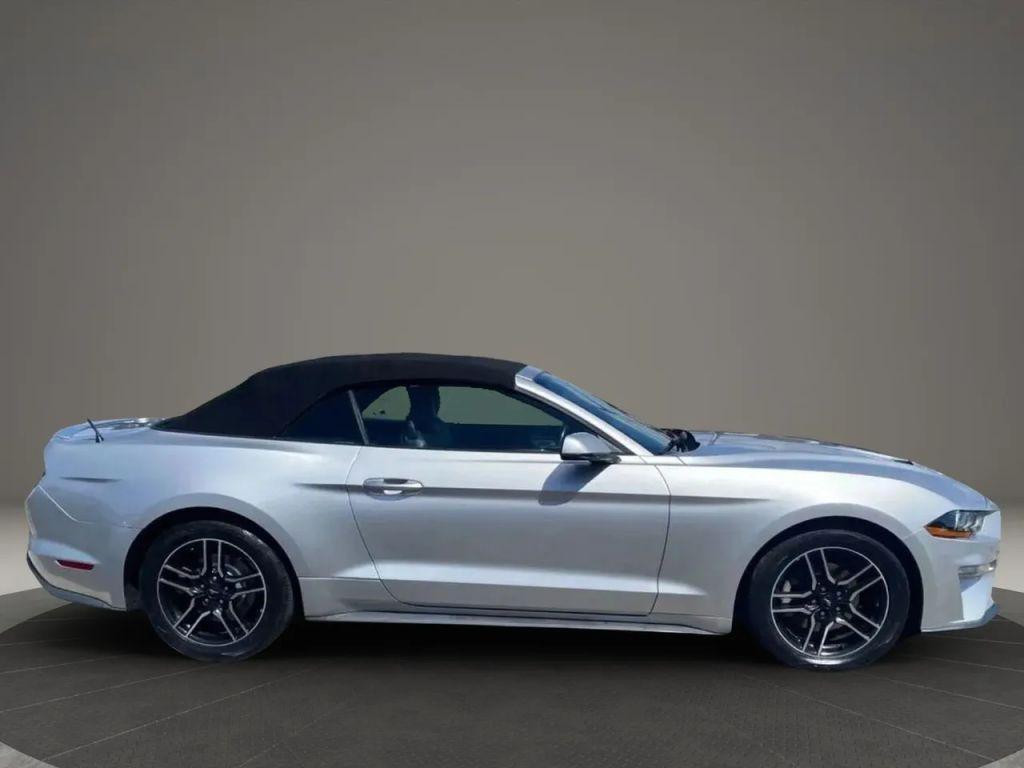 used 2019 Ford Mustang car, priced at $14,999
