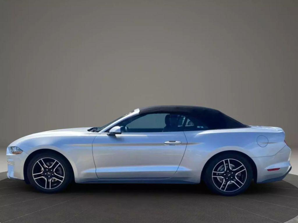 used 2019 Ford Mustang car, priced at $13,999