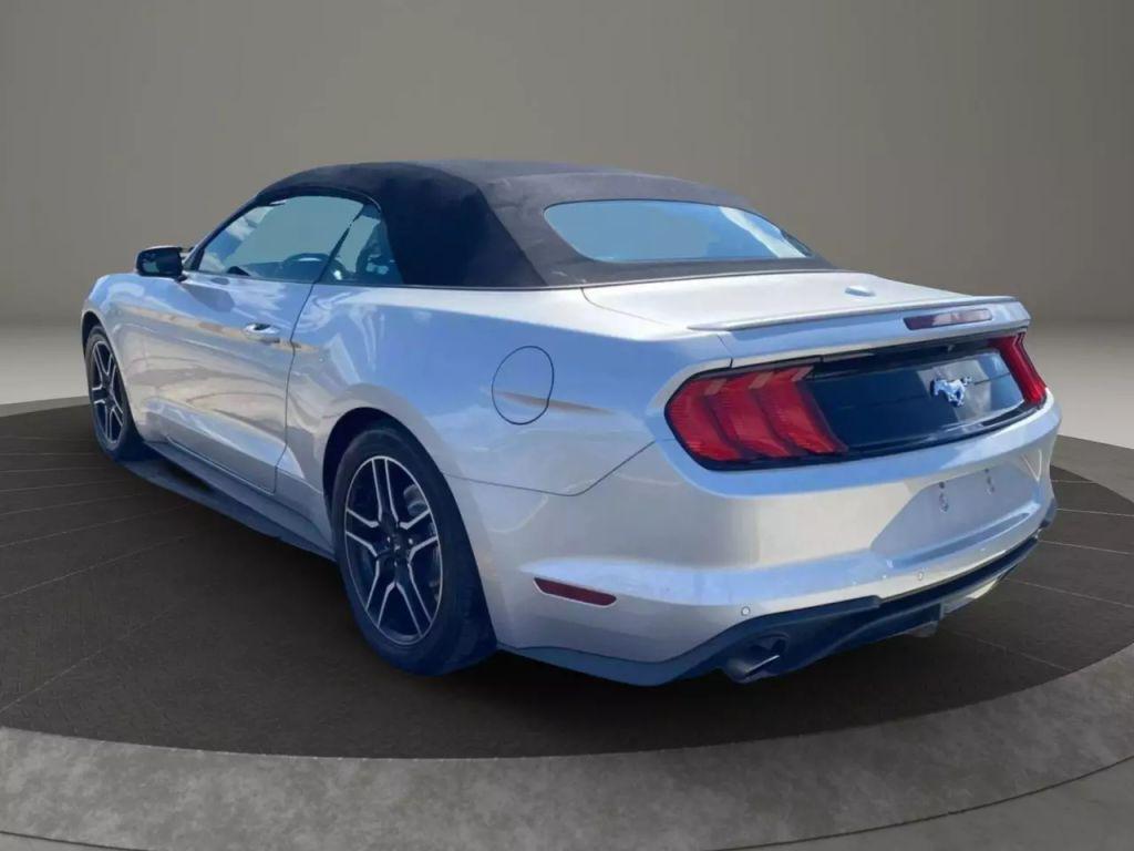 used 2019 Ford Mustang car, priced at $13,999