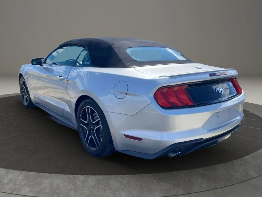 used 2019 Ford Mustang car, priced at $14,999