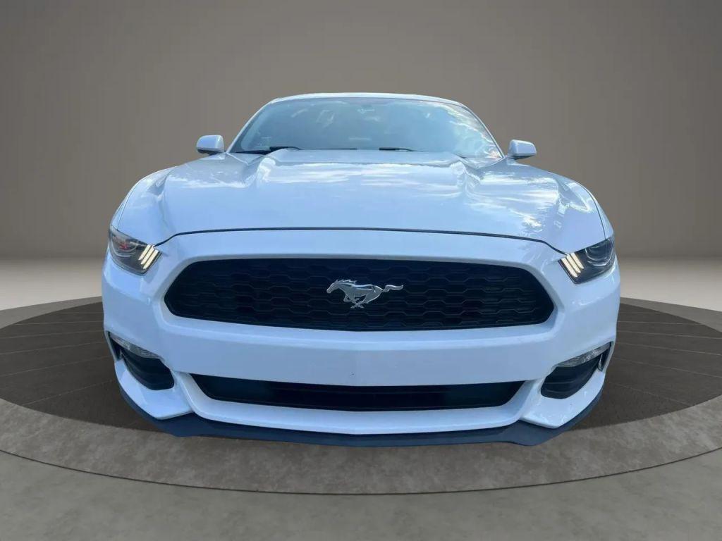 used 2017 Ford Mustang car, priced at $15,999