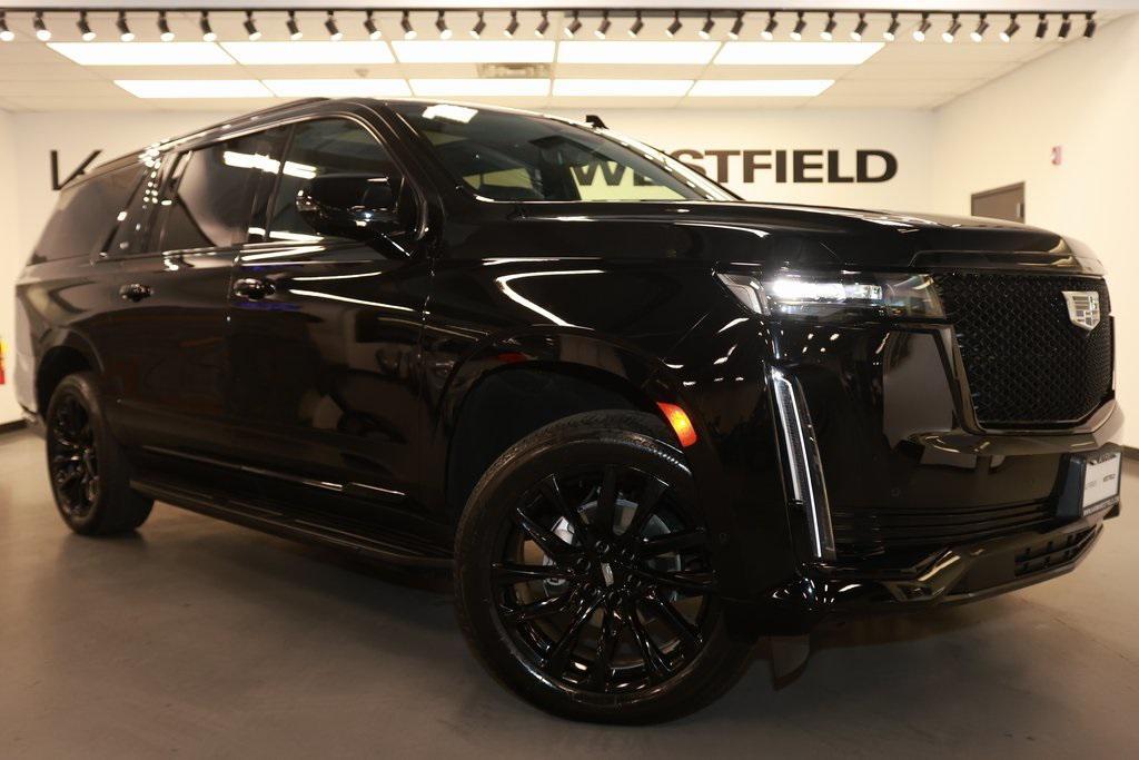 used 2024 Cadillac Escalade ESV car, priced at $100,092