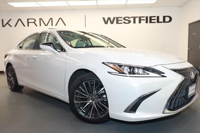 used 2023 Lexus ES 250 car, priced at $36,213