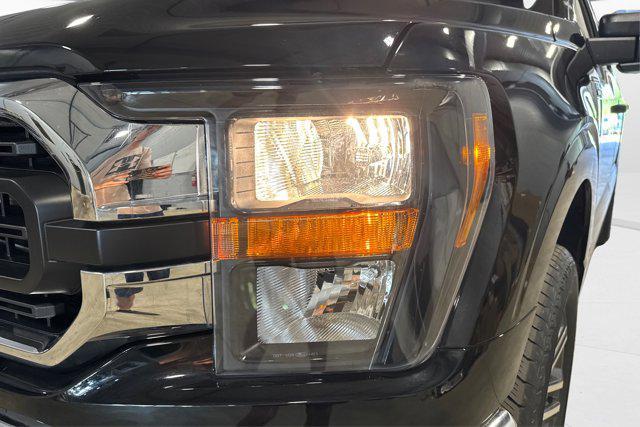 used 2023 Ford F-150 car, priced at $45,500