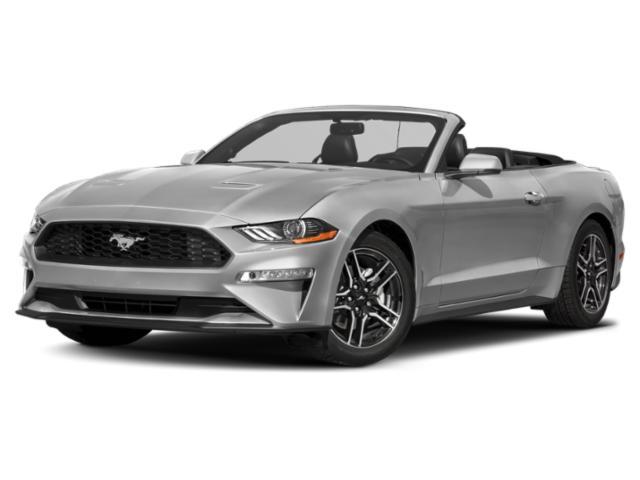 used 2019 Ford Mustang car, priced at $21,988