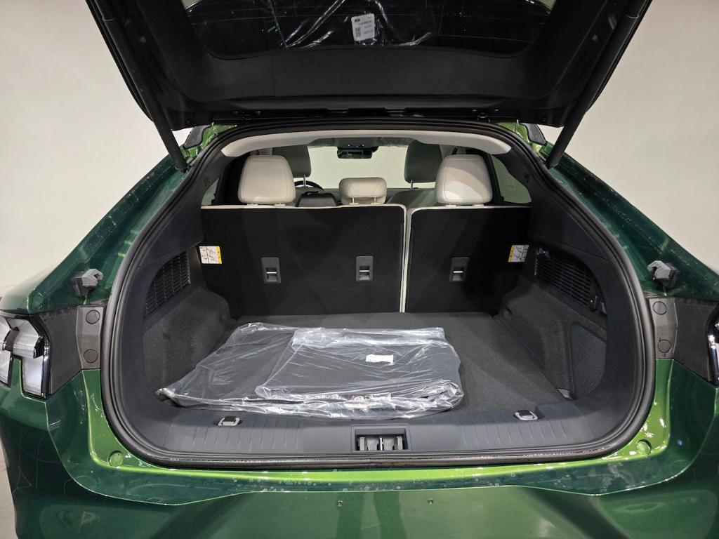 new 2025 Ford Mustang Mach-E car, priced at $53,248