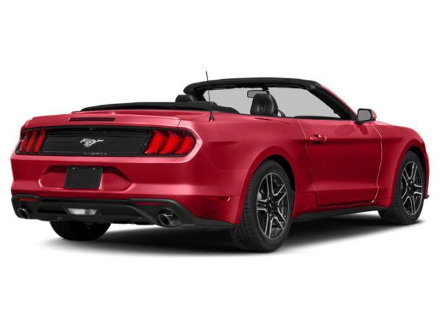 used 2020 Ford Mustang car