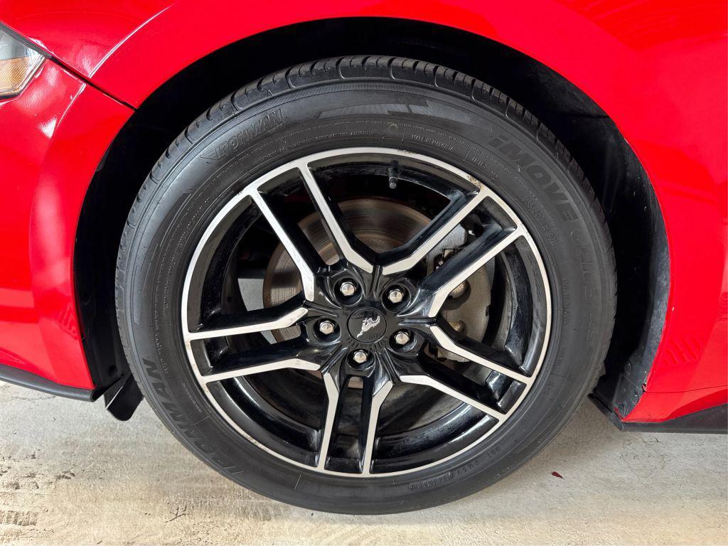 used 2021 Ford Mustang car, priced at $17,995