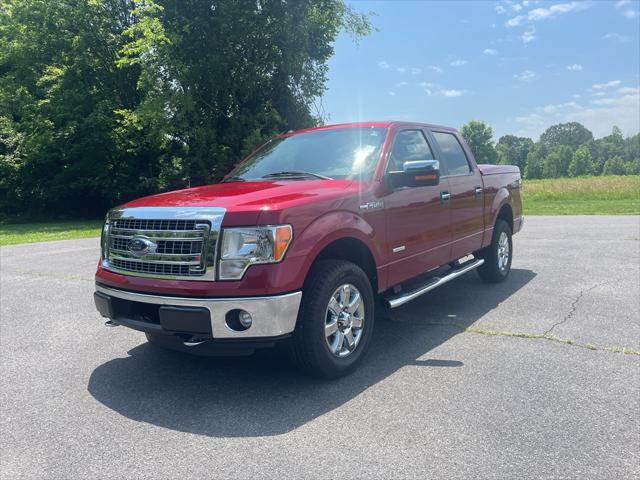 used 2013 Ford F-150 car