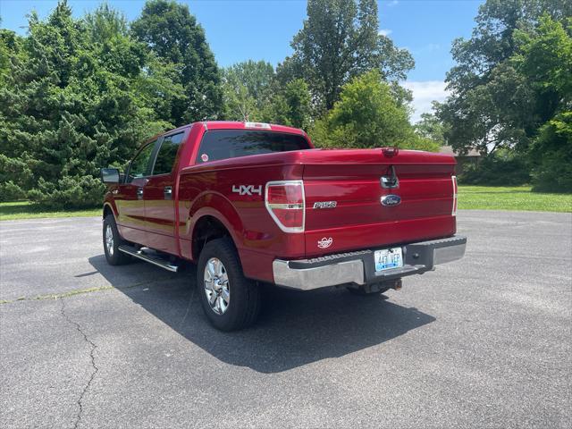 used 2013 Ford F-150 car
