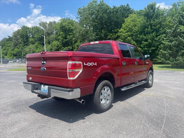 used 2013 Ford F-150 car