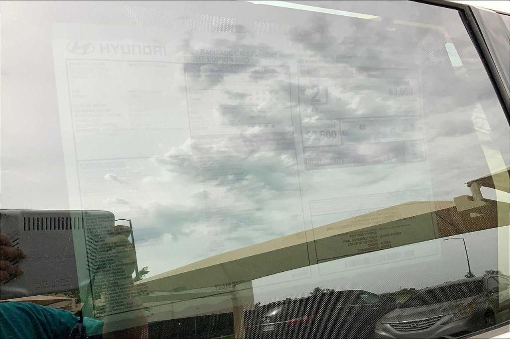 new 2025 Hyundai Palisade car, priced at $49,852