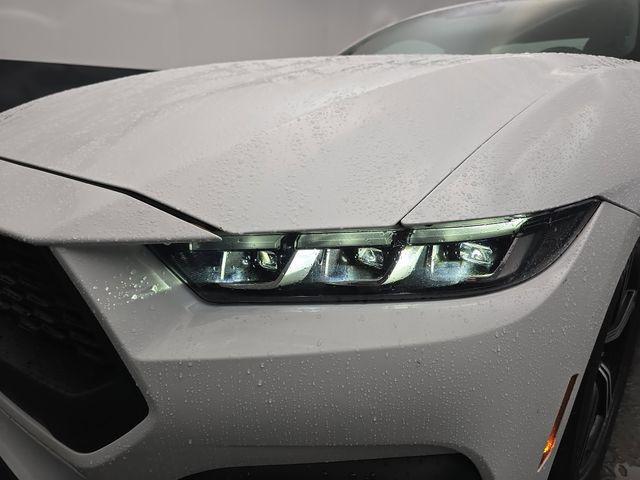 used 2024 Ford Mustang car, priced at $29,600