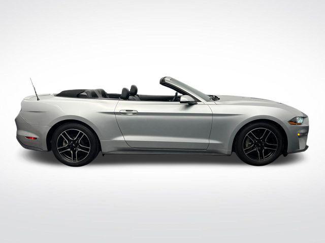 used 2019 Ford Mustang car, priced at $21,500