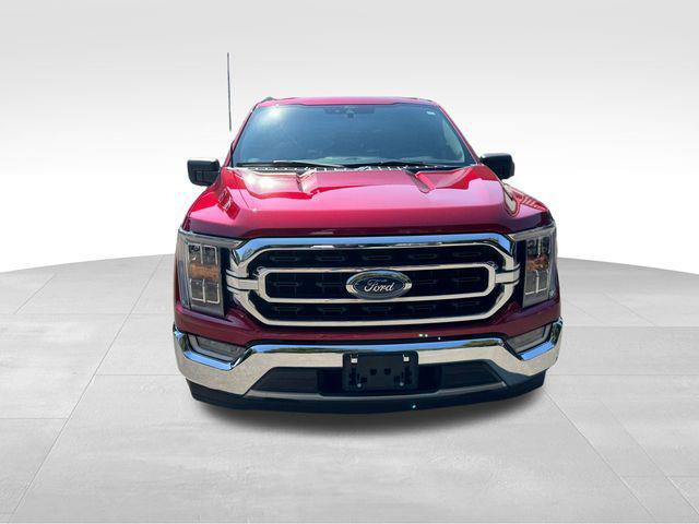 used 2021 Ford F-150 car, priced at $34,240