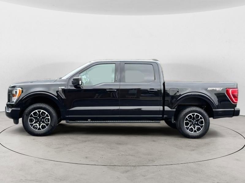 used 2023 Ford F-150 car, priced at $42,373