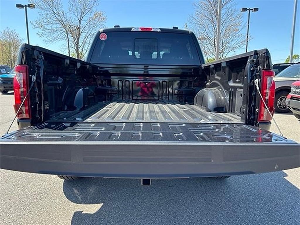 new 2025 Ford F-150 car, priced at $48,176