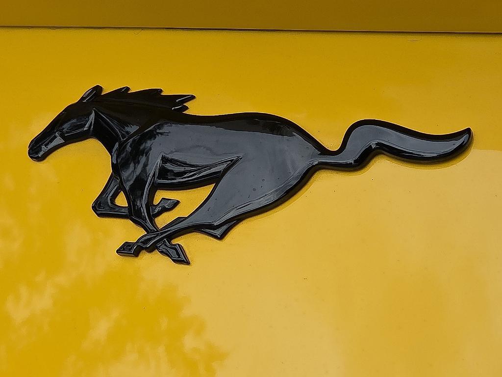 used 2024 Ford Mustang car, priced at $32,285