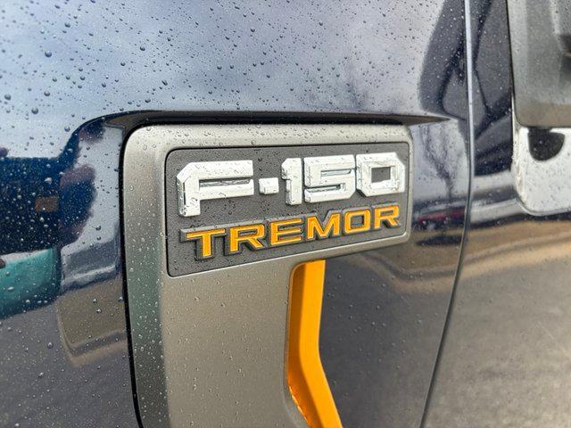 new 2025 Ford F-150 car, priced at $63,296