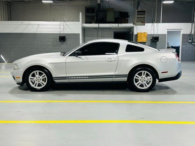 used 2010 Ford Mustang car, priced at $12,000