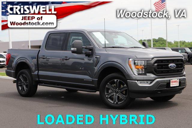 used 2023 Ford F-150 car, priced at $50,105