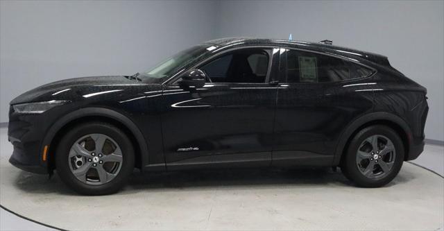 used 2021 Ford Mustang Mach-E car, priced at $21,716