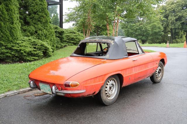 used 1966 Alfa Romeo Duetto car, priced at $17,500