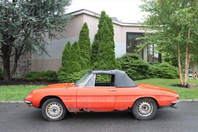 used 1966 Alfa Romeo Duetto car, priced at $17,500