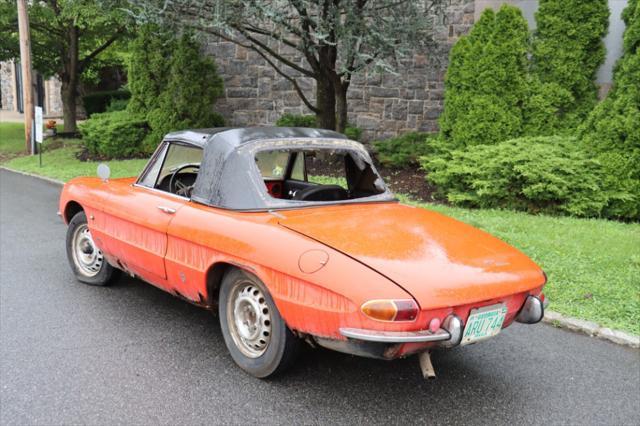 used 1966 Alfa Romeo Duetto car, priced at $17,500