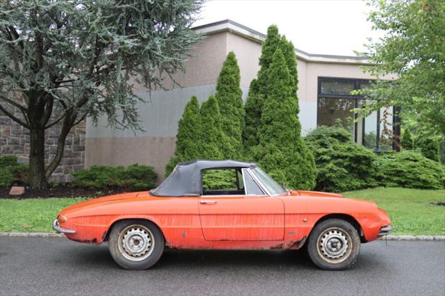 used 1966 Alfa Romeo Duetto car, priced at $17,500