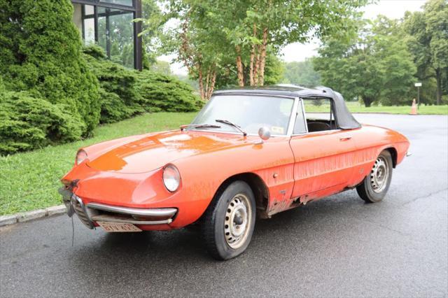 used 1966 Alfa Romeo Duetto car, priced at $17,500