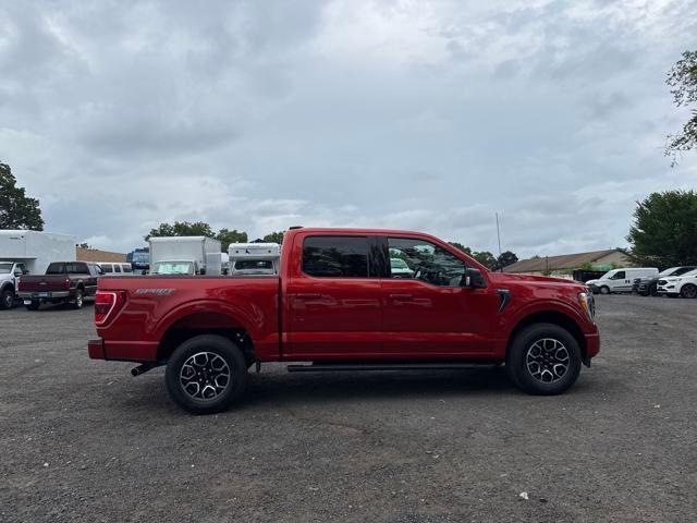 used 2023 Ford F-150 car, priced at $43,436