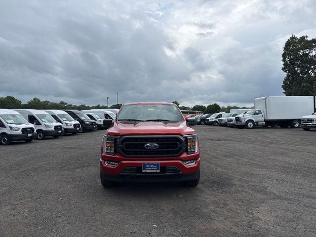 used 2023 Ford F-150 car, priced at $43,436