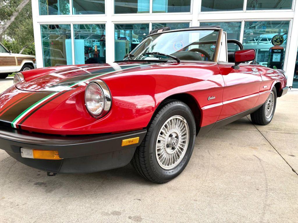 used 1986 Alfa Romeo Spider car, priced at $15,997