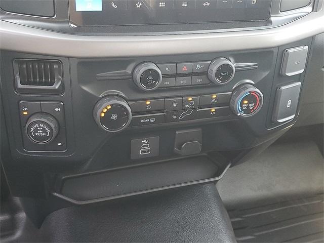new 2025 Ford F-150 car