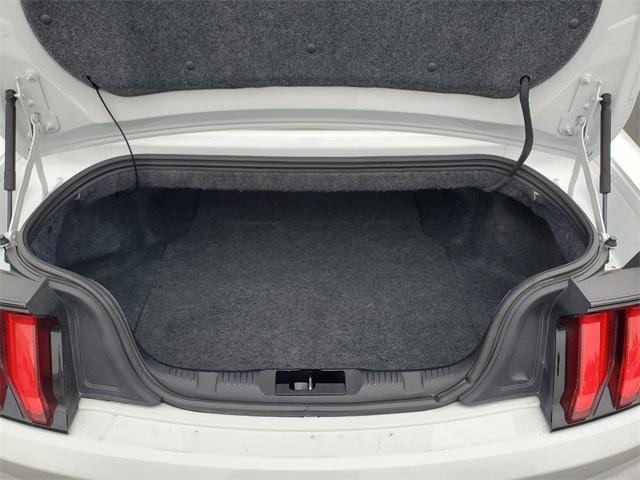 used 2019 Ford Mustang car, priced at $21,401