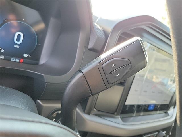 new 2025 Ford F-150 car