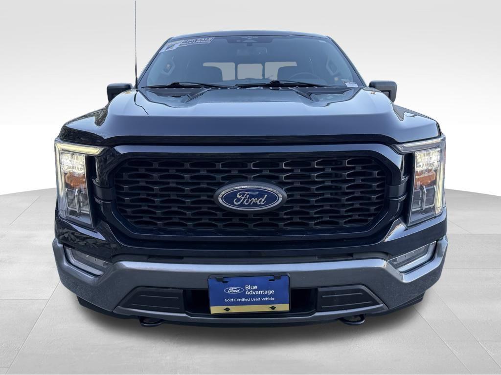 used 2023 Ford F-150 car, priced at $42,350