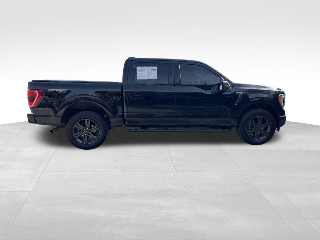 used 2023 Ford F-150 car, priced at $42,556