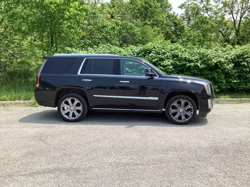 used 2020 Cadillac Escalade car, priced at $47,000