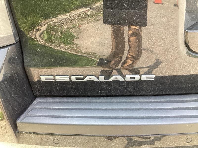used 2020 Cadillac Escalade car, priced at $47,000