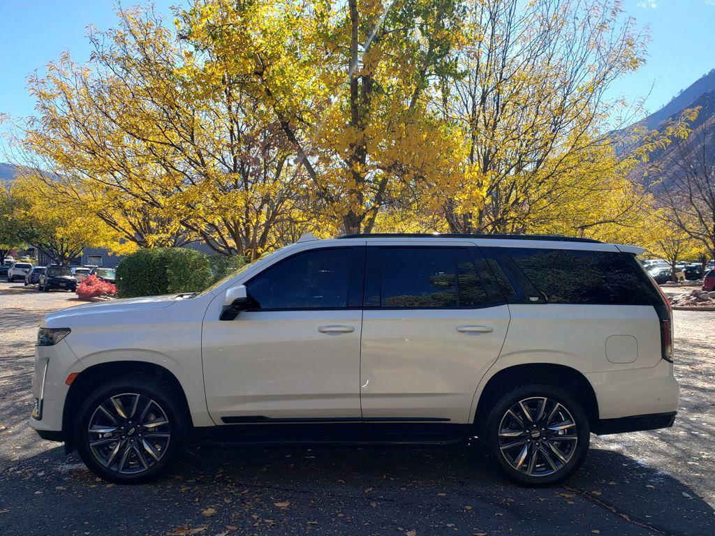 used 2023 Cadillac Escalade car, priced at $79,999