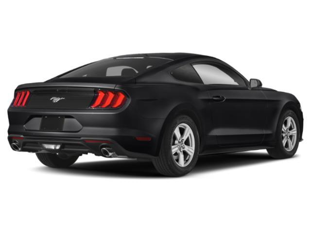 used 2019 Ford Mustang car, priced at $19,995