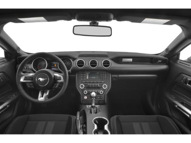 used 2019 Ford Mustang car, priced at $19,995