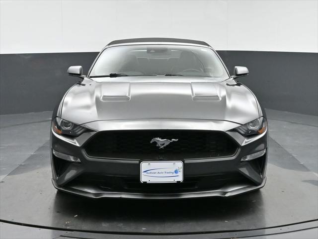 used 2019 Ford Mustang car, priced at $19,988