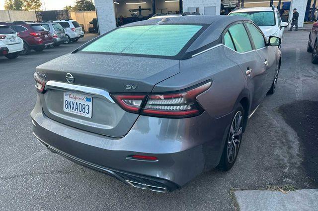 used 2019 Nissan Maxima car, priced at $18,999