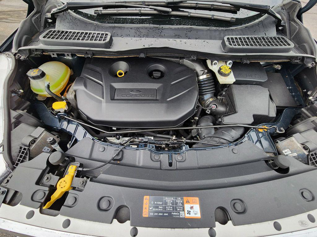 used 2019 Ford Escape car
