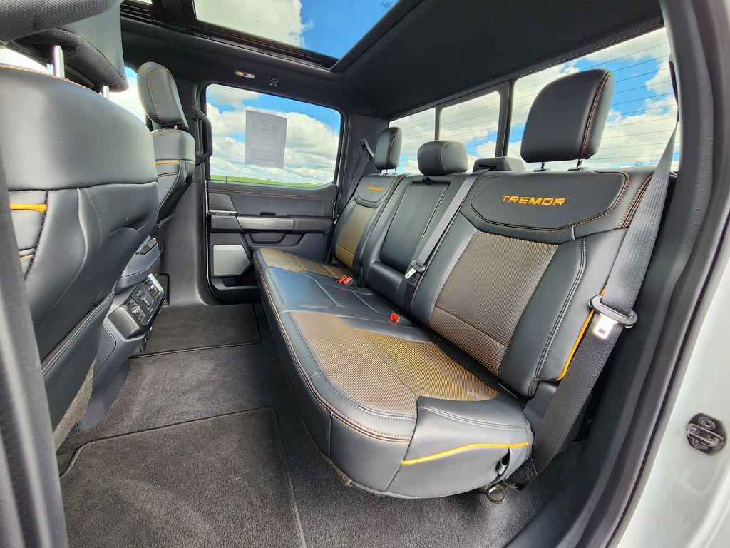 used 2023 Ford F-150 car, priced at $53,000